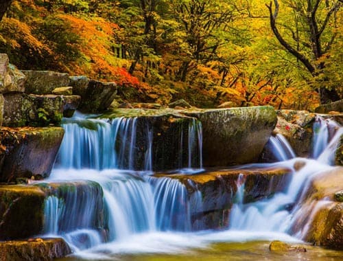 本溪枫林谷景区