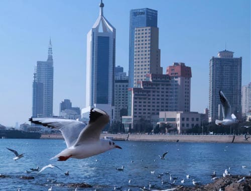青岛海滨风景区