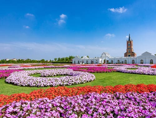 中国爱情花卉小镇