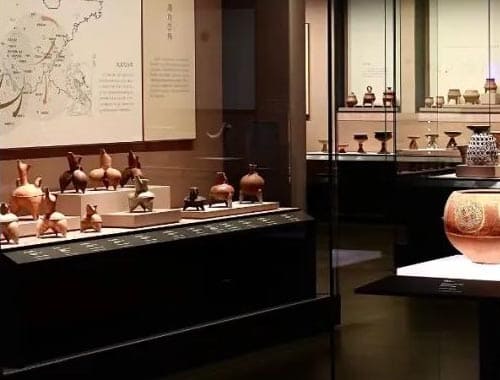 天宇自然博物馆