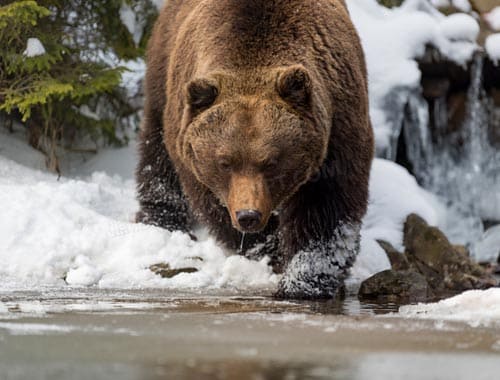 八达岭野生动物园