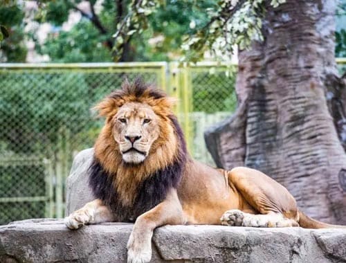 焦作市森林动物园