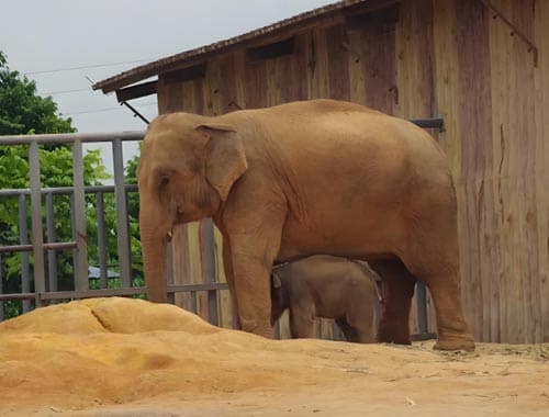 宿迁森迪野生动物园