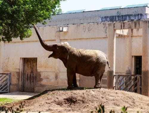 周口野生动物园