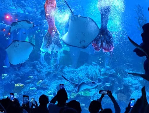 许昌海洋馆
