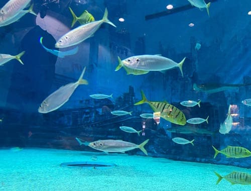 舟山长乔海洋公园