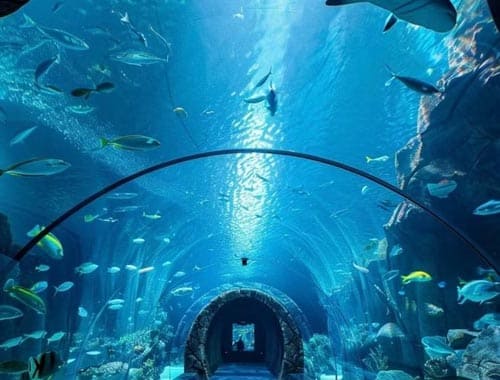 南通冰雪海洋乐园