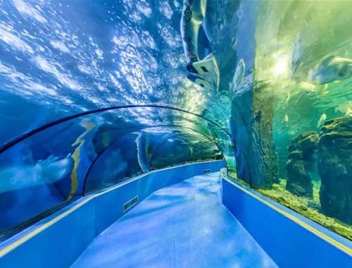 许昌海洋馆