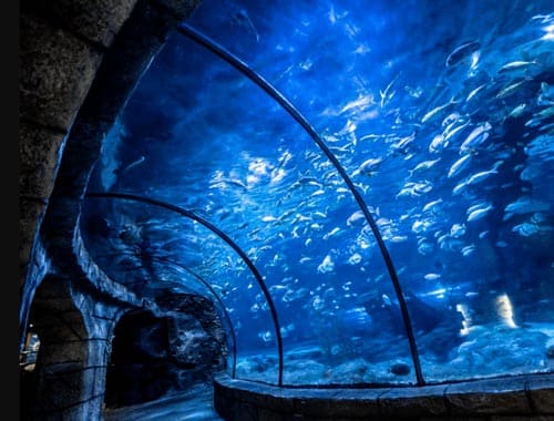 鼎龙湾国际海洋度假区