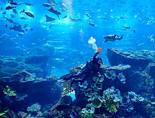 南通冰雪海洋乐园