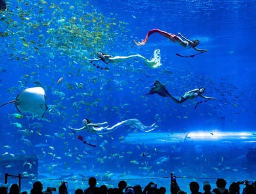 鼎龙湾国际海洋度假区