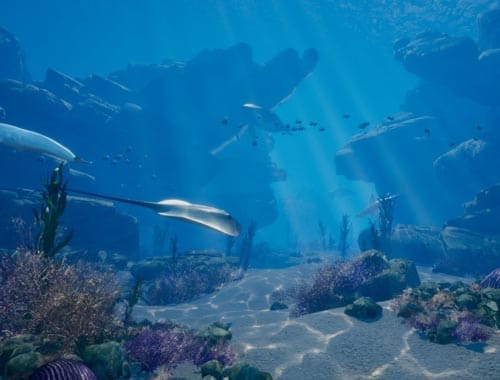 舟山长乔海洋公园