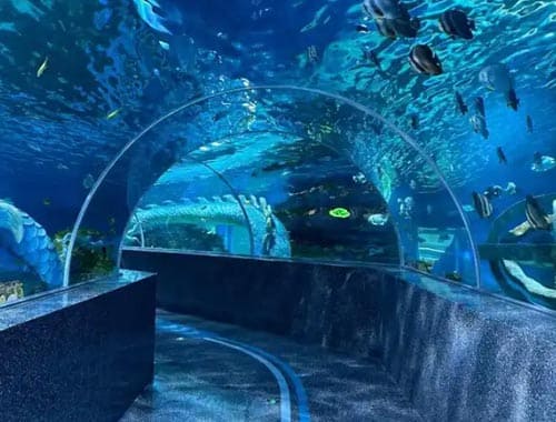 舟山长乔海洋公园