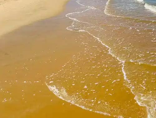 青岛黄岛金沙滩