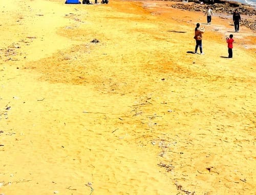 金沙滩生态旅游区