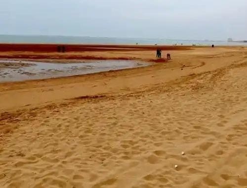 和硕金沙滩旅游风景区