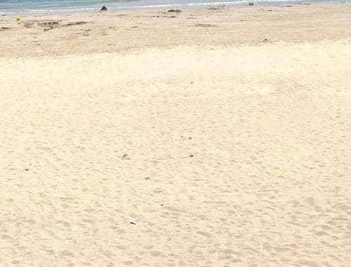 和硕金沙滩旅游风景区