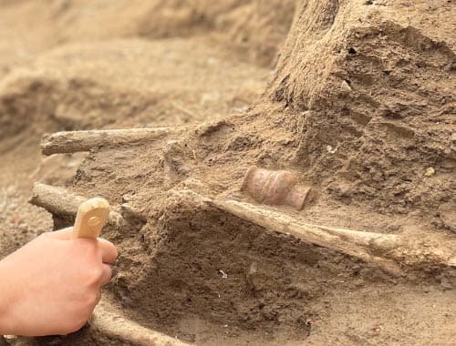 李渡元代烧酒作坊遗址