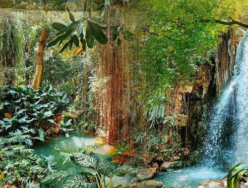 厦门园林植物园