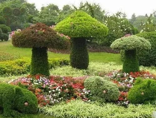 重庆南山植物园