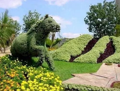 武威凉州植物园