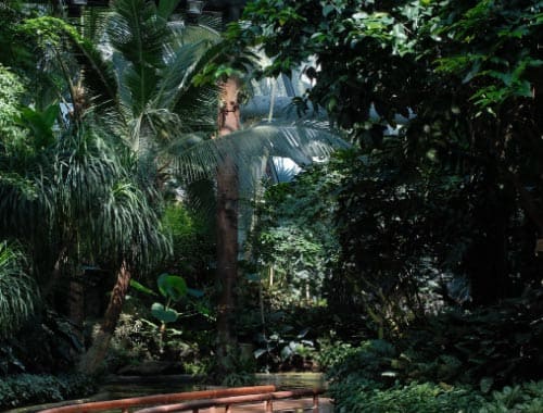 中国科学院西双版纳热带植物园