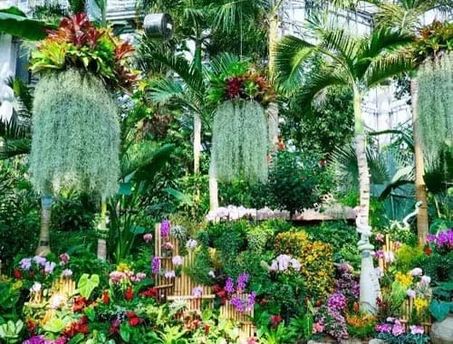 重庆南山植物园