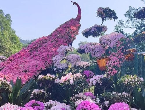 厦门园林植物园